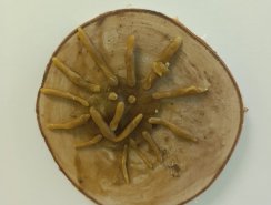 img (2)